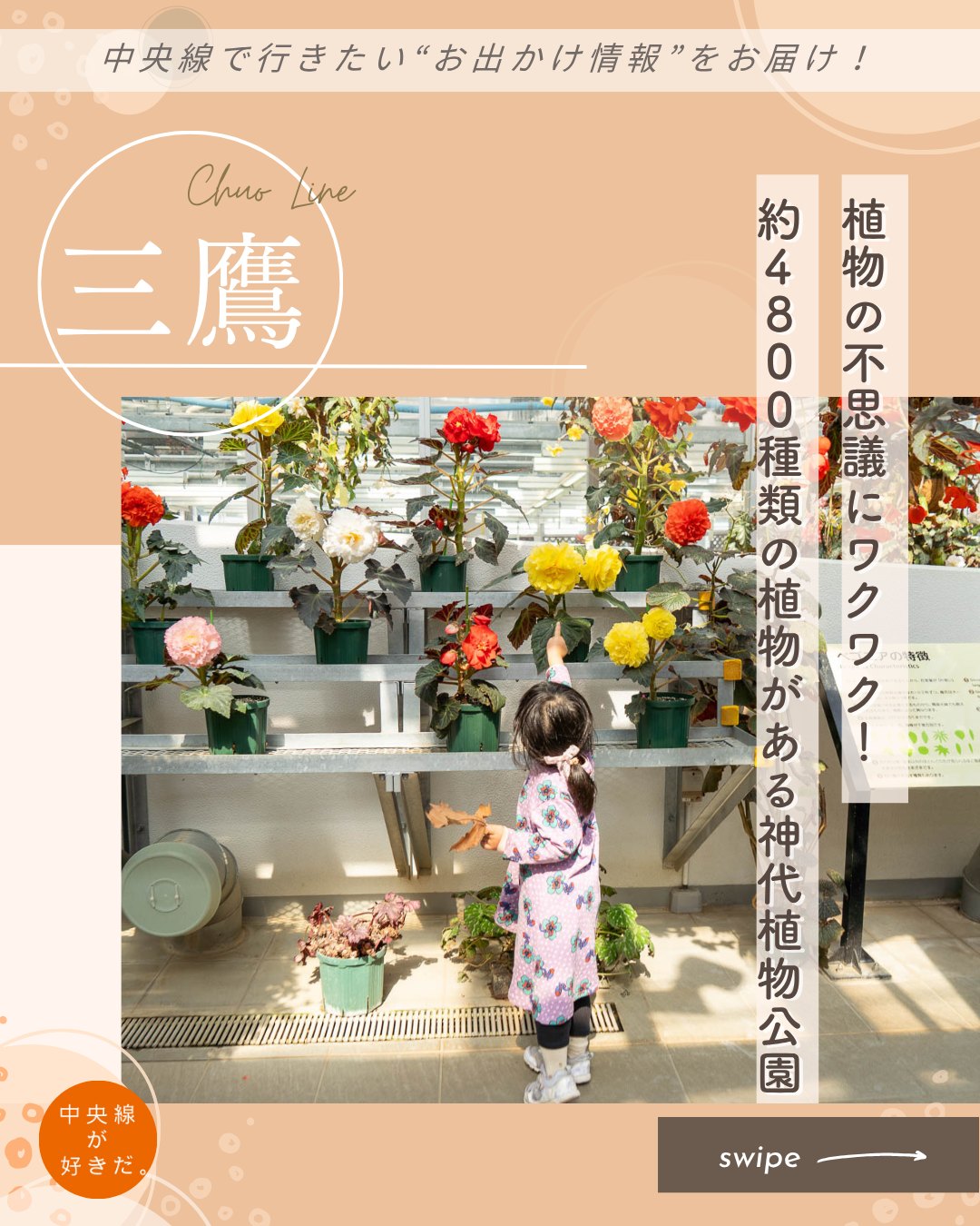 【#ウェルカムキッズ中央線】
神代植物公園( @jindai_botanical_gardens ) / 📍三鷹駅・調布市
東京を代表する植物公園で、広さは東京ドーム約11個分。園内には約4800種類、約10万本・株の植物が植えられている。
広々とした「芝生広場」は中央に高さが2m以上あるススキに似たパンパスグラスという植物が円形に植えられていて、子供たちに大人気。周辺でレジャーシートを広げてお弁当も食べられる。
中央に噴水のあるばら園や、元は近くの深大寺の裏山だった雑木林、6つの部屋を持つ大温室など、種類豊富かつ丹精込めて管理された植物が子供たちの興味をそそる。
園内にはベンチやテーブルがいたるところにあり、おむつ替えや授乳用のスペースも完備。売店では、バラのソフトクリームをはじめ、ローズティーやバラジュースも販売されていて、植物公園らしい休憩ができる。
*-*-*-*-*-*-*-*-*-*-*-*-*-*-*-*-*-*-*-*-*-*-*-*-*-*
〇JR中央線三鷹駅からバスで約20分
〇9時30分~17時(入園は~16時・大温室・水生植物園は~16時30分)、
月休(祝日の場合翌日)
〇東京都調布市深大寺元町5-31-10
*-*-*-*-*-*-*-*-*-*-*-*-*-*-*-*-*-*-*-*-*-*-*-*-*-*
記事の詳細は @chuosuki のプロフィール欄のURLから、中央線が好きだ。WEBサイトをご覧ください。
あなたが好きな中央線沿線のスポット・お店などがあれば、ぜひ #中央線が好きだ を付けて投稿してください♪
#中央線が好きだ #中央線 #ウェルカムキッズ中央線 #三鷹 #調布市 #東京都 #子供と遊ぶ #子供の遊び場 #神代植物公園 #春のバラフェスタ #さくら園 #さくらのトンネル #大温室 #バラのソフトクリーム #親子で楽しむ #家族とお出かけ #子供とお出かけスポット