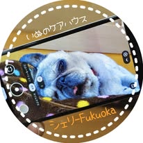 shelly_fukuoka