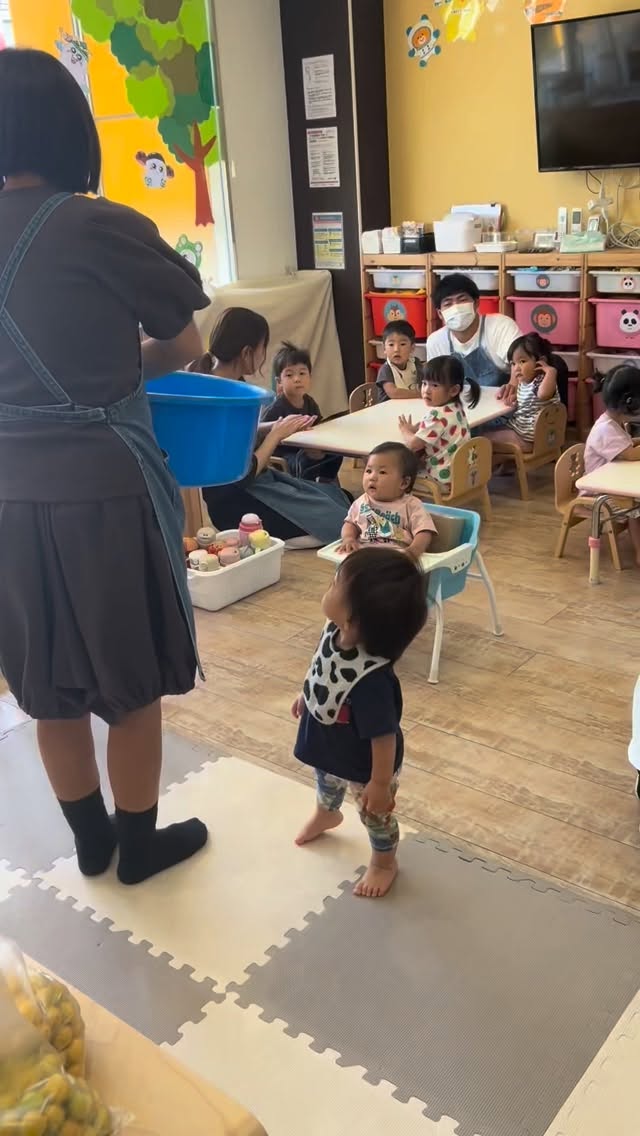 今年も梅シロップ作りを行いました✨
子どもたちは梅を手に取り、香りを感じたり、手触りを確かめたりしながら興味を深めていました😊
ヘタ取りや瓶に梅と氷砂糖を入れる作業も、一人ひとりが自分の手で丁寧に取り組みます。
実際の自然物に触れ、五感を使って感じる経験は、この時期ならではの豊かな学びです🌿
「自分でやってみたい」という気持ちを大切にしながら、梅シロップができあがるまでの変化をこれからも観察していきます。
子どもたちの発見や気づきを見守りながら、季節を感じる食育活動を楽しみました🍀
#岸和田のだくま保育園 #モンテッソーリ #企業主導型保育園 #梅 #経験