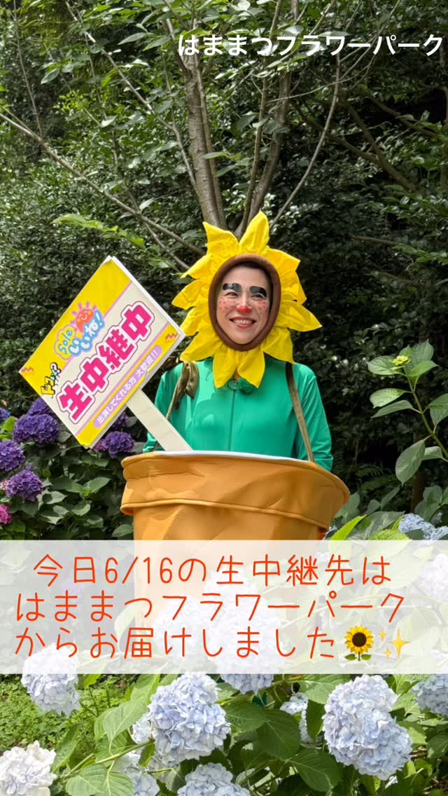 今日6/16はテレビの生中継がありました!園内に突如現れたヒマワリ🌻姿の鬼頭里枝アナに驚...