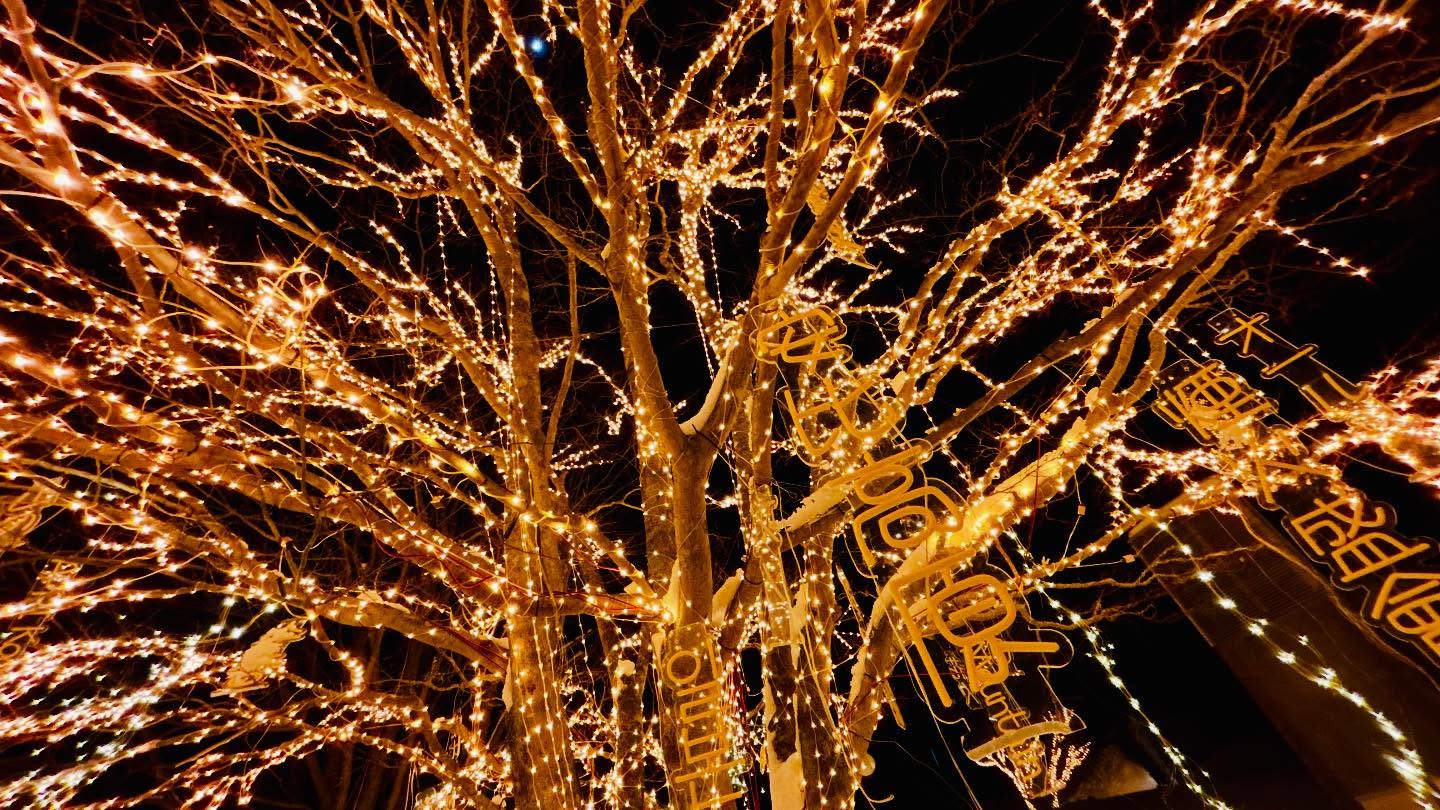 2025.3
イルミネーション越しのお月様✨🌳🌕✨
幻想的で綺麗✨✨
#appi_snow #安比イルミネーションナイター