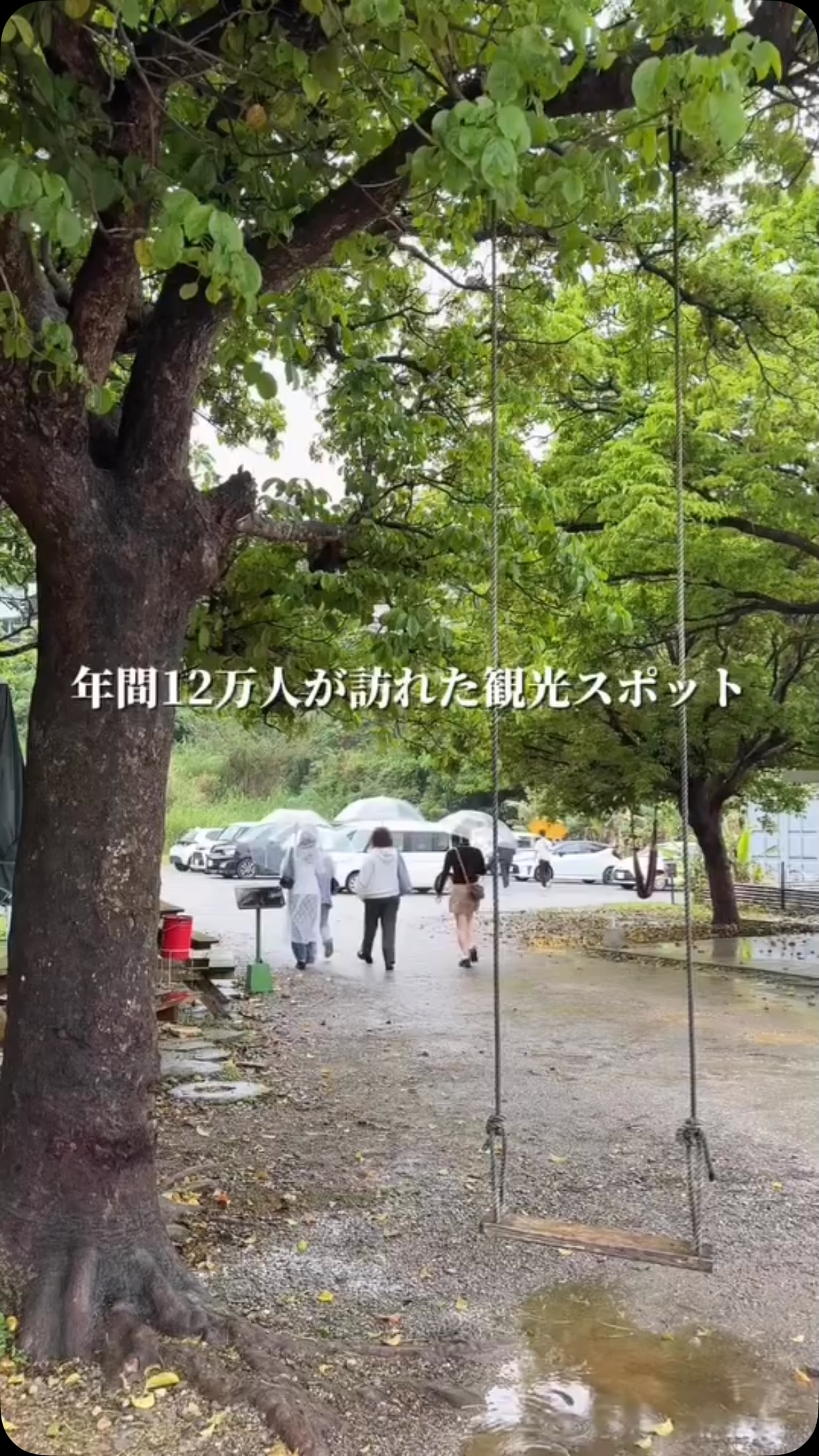 ☔雨の日でも楽しめる!幻想的な鍾乳洞体験✨
雨の日のお出かけ先に悩んでいませんか?🌧️
そんな時は、天候に左右されない雨の日でも大自然の神秘とリアルアドベンチャー体験を楽しめる鍾乳洞ケイブオキナワへ!
鍾乳洞内には、幻想的な「青の世界」や、美しい水の流れる「アクアゾーン」など、まるで異世界に迷い込んだようなスポットがたくさん✨ さらに、今なら春休み限定の「トレジャーハント企画」**を開催中!💎 ワクワクしながらお宝を探して、探検気分を楽しめます!
見学のあとは、併設のカフェでひと休み☕ 自然に囲まれた空間で、美味しいドリンクやスイーツをどうぞ♪
春休みの思い出づくりに、ぜひ遊びに来てくださいね!😊
#沖縄県 #うるま市 #沖縄 #おきなわ #オキナワ #OKINAWA #okinawajapan #沖縄旅行 #okinawatrip #沖縄観光 #沖縄観光スポット #沖縄おすすめスポット #沖縄パワースポット #パワースポット #ハートロック#鍾乳洞 #美ら海水族館 #恩納村 #アメリカンビレッジ #卒業旅行 #洞窟探検 #自然好きな人と繋がりたい #沖縄好きな人と繋がりたい #冒険 #アドベンチャー#FORESTCAFEByCAVEOKINAWA
#春休み #宝探し #トレジャーハント #rpg