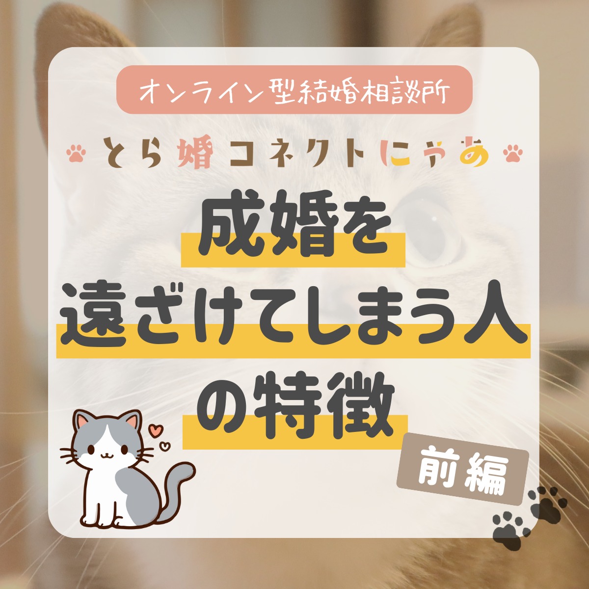 .
成婚を遠ざけてしまう方の特徴とは?
婚活している方はぜひチェック
.
当アカウントでは、
・猫ちゃんの癒し動画
・猫ちゃんの豆知識
・猫を飼う方の婚活情報
などを発信中です✨
.
他の投稿はこちら🐈
▶▷ @toracon_connect_nya1003 ◁◀
とら婚コネクトにゃあは、猫好きさんのための結婚相談所!
毎日個別相談会を実施中です💕
詳しくはプロフィール欄のURLからHPをご覧ください😊
#猫好きさんと繋がりたい #猫のいる生活 #にゃんすたぐらむ