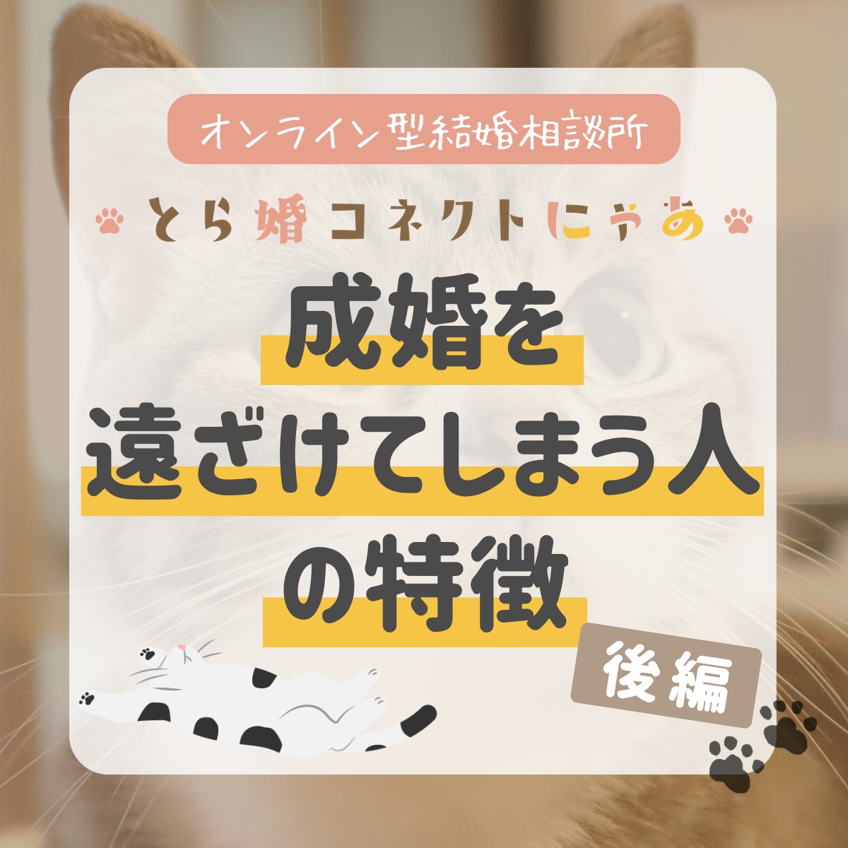.
成婚を遠ざけてしまう人の特徴とは?
後編verです!!
前編と併せてお読みください✨
また2025年11月1日から、初月7,980円でとら婚コネクトにゃあで活動できるキャンペーン開催中!
詳細は公式HPからチェック!
.
当アカウントでは、
・猫ちゃんの癒し動画
・猫ちゃんの豆知識
・猫を飼う方の婚活情報
などを発信中です✨
.
他の投稿はこちら🐈
▶▷ @toracon_connect_nya1003 ◁◀
とら婚コネクトにゃあは、猫好きさんのための結婚相談所!
毎日個別相談会を実施中です💕
詳しくはプロフィール欄のURLからHPをご覧ください😊
#猫好きさんと繋がりたい #猫のいる生活 #にゃんすたぐらむ