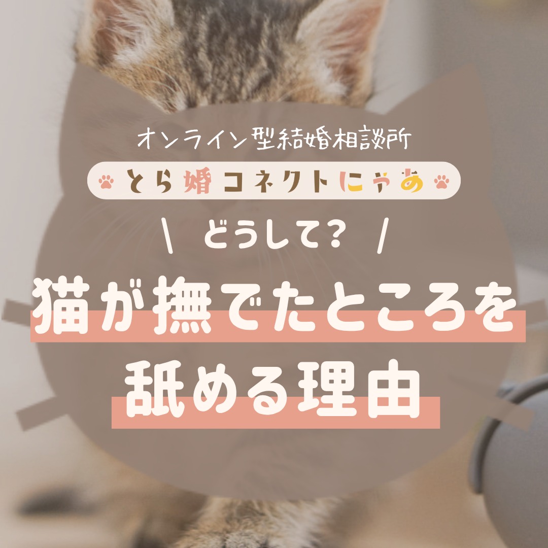 .
猫が撫でたところをぺろぺろ舐める理由知ってますか?
実は理由があったんです!
気になった方はチェック👀
.
2月15日まで、初月7,980円でとら婚コネクトにゃあで活動できるキャンペーン開催中!
そして、2ヶ月以内にお見合いが組めたら3ヶ月連続月会費が0円で活動できちゃいます!
.
猫ちゃんがいる方に向けての個別相談会を開催中です💕
年末年始も実施中ですよ~!
詳細は公式HPからチェック!
.
当アカウントでは、
・猫ちゃんの癒し動画
・猫ちゃんの豆知識
・猫を飼う方の婚活情報
などを発信中です✨
.
他の投稿はこちら🐈
▶▷ @toracon_connect_nya1003 ◁◀
とら婚コネクトにゃあは、猫好きさんのための結婚相談所!
毎日個別相談会を実施中です💕
詳しくはプロフィール欄のURLからHPをご覧ください😊
#猫好きさんと繋がりたい #猫のいる生活 #にゃんすたぐらむ