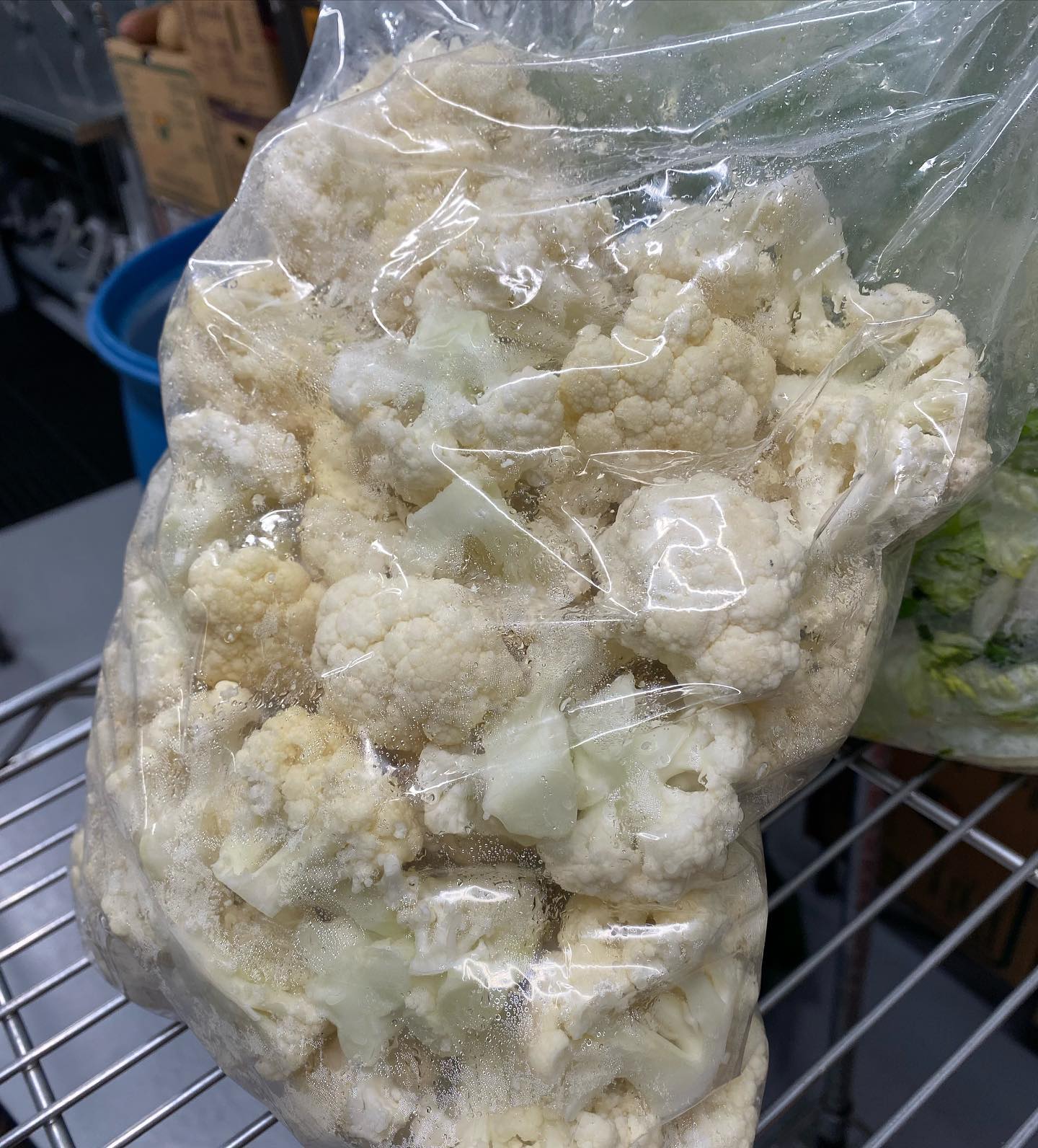A few products for our foodservice customers. Many different sizes available on each and every product in bags and trays! Inquire within for custom projects.
π₯¦
π₯¬
π₯
π₯
π
π
π
π₯
#foodservice #produce #food #restaurants #kitchens #maricopacounty #az #arizona #scottsdale #peoria #phoenix #mesa #chandler #goodyear #surprise #glendale #wholesale #produce #fruit #vegetables