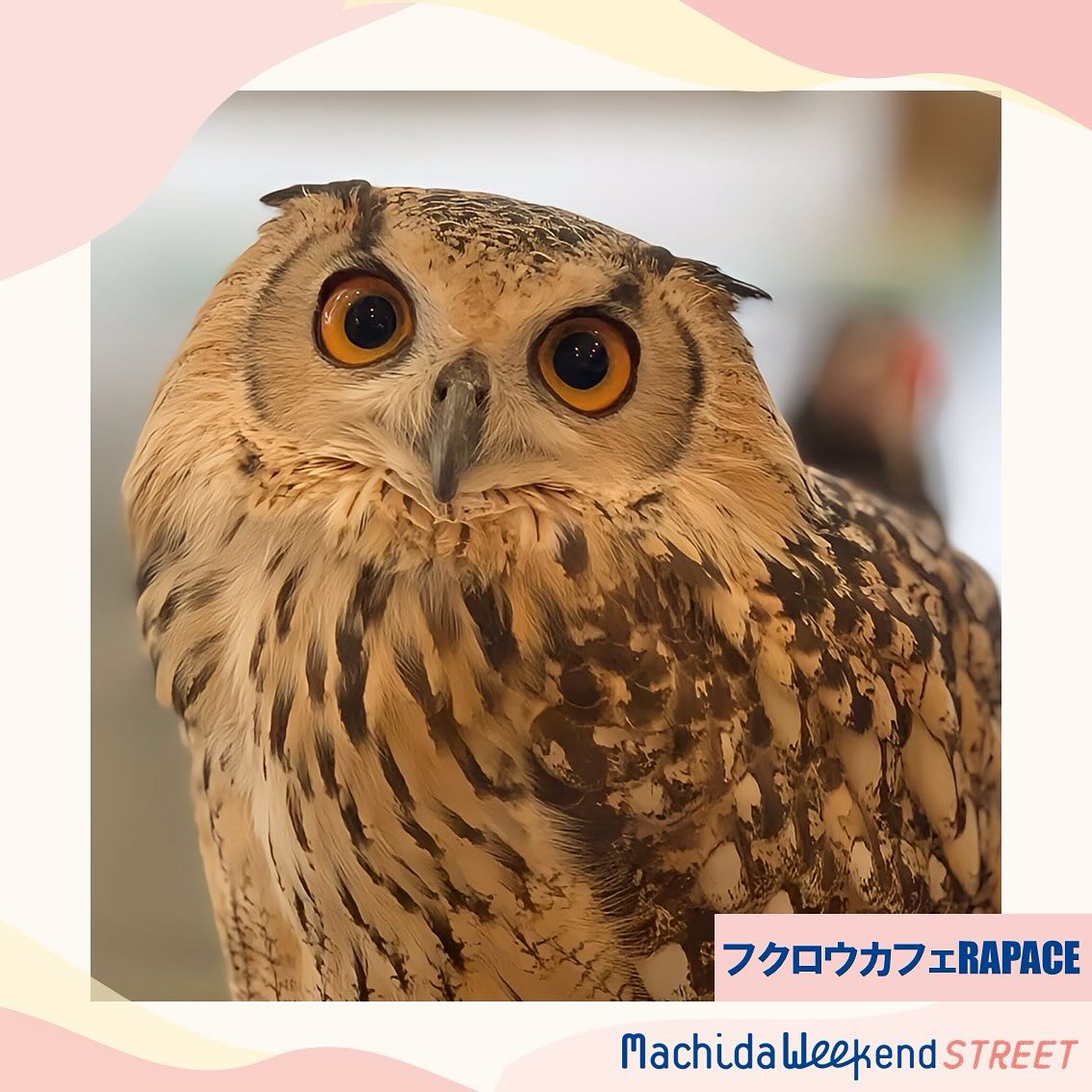 \\3月出店者紹介v