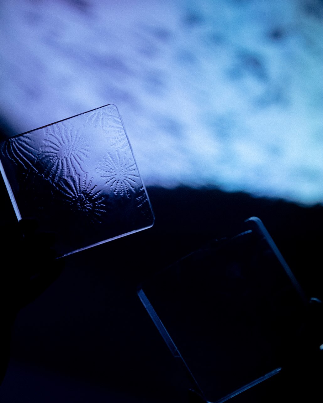  SOHO HOUSE TOKYO @sohohouse.tokyo 【 The House Shaped by Her 】 This house opened for a day shaped by women’s perspect … (©2026 by aifutaki) SOHO HOUSE TOKYO @sohohouse.tokyo 【 The House Shaped by Her 】 This house opened for a day shaped by women’s perspect … (©2026 by aifutaki)