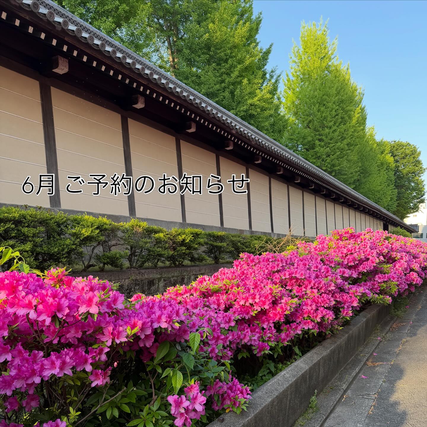 Instagramに投稿された画像