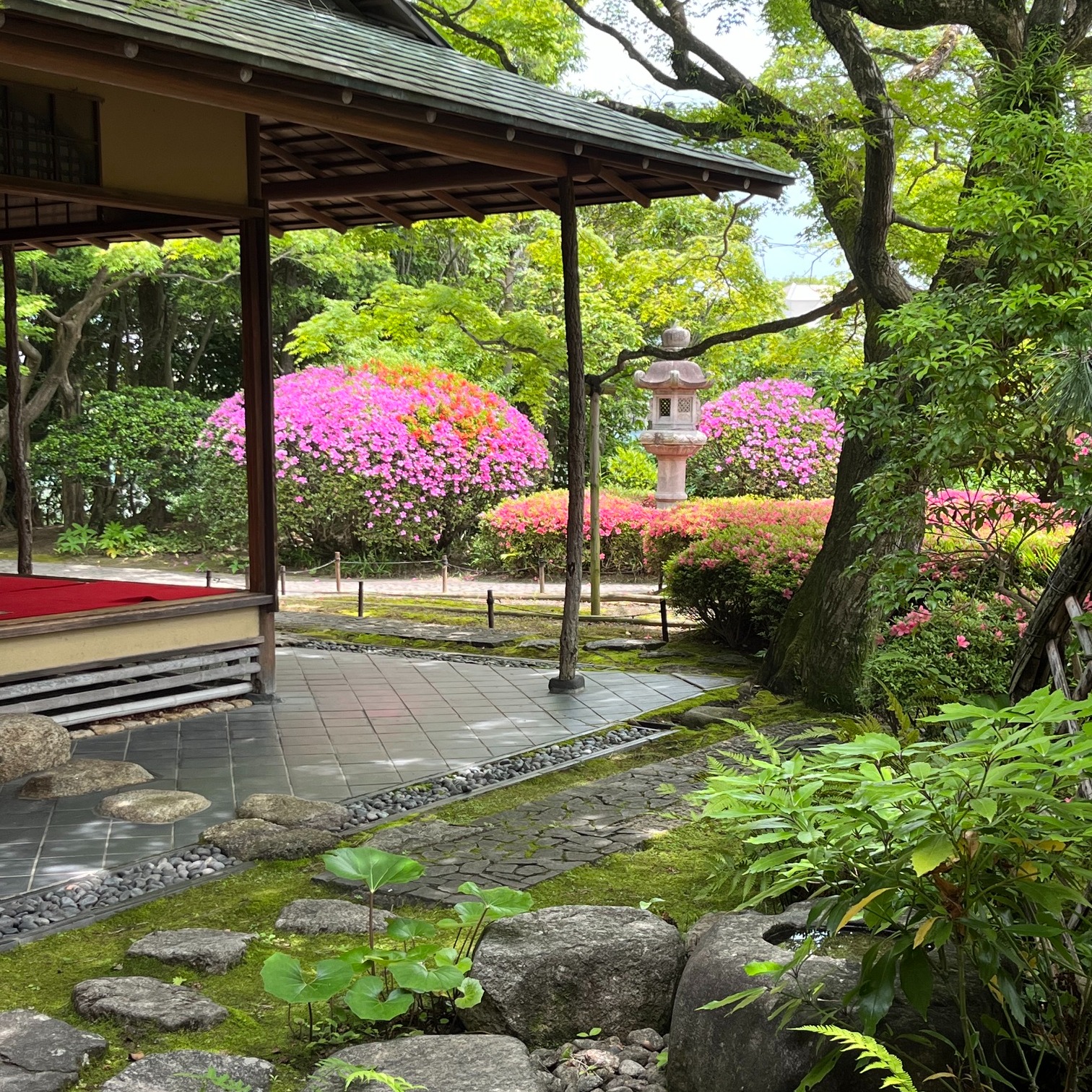 【福岡松風園よりお知らせです】
~2026年6月21日(日)~
❇️時間:14:00~15:30(13:00開場)❇️会場:松風園(福岡市中央区平尾3丁目28番)にて松風園人気イベント『松風園落語』開催いたします。
唐人町を拠点に30年以上活躍している内浜落語会メンバー粗忽家とまと・長楽亭楽丸・粗忽家勘八3名の方々が披露いたします。
楽しみですね!
落語をきいたことのない方も、お気軽にご参加頂ける落語です。
たくさん笑って、存分にお楽しみください。
❇️参加費:1500円(入園料込み)
なんとお抹茶サービス付き!
❇️定員:35名様
❇️お申込は6月1日より092-524-8264松風園にてお電話お待ちしております。
✨また、ただいま、福岡松風園では今しか味わえない🌺サツキ🌺のお花が満開となっております。
喫茶では、抹茶セット・ぜんざいセットなどございます。
季節の美しさを感じゆったりとした時間をお過ごしいただける公園です。
ぜひ、お気軽にお立ち寄りくださいね。
(入園料100円駐車場300円)
#日本庭園#松風園 #おすすめ #福岡観光 #fukuoka #茶室#抹茶 #落語 #寄席 #笑い #落語好き #散歩 #福岡市#日本を感じる#japanesegarden #Matcha#Shofuen#福岡イベント情報 #癒し