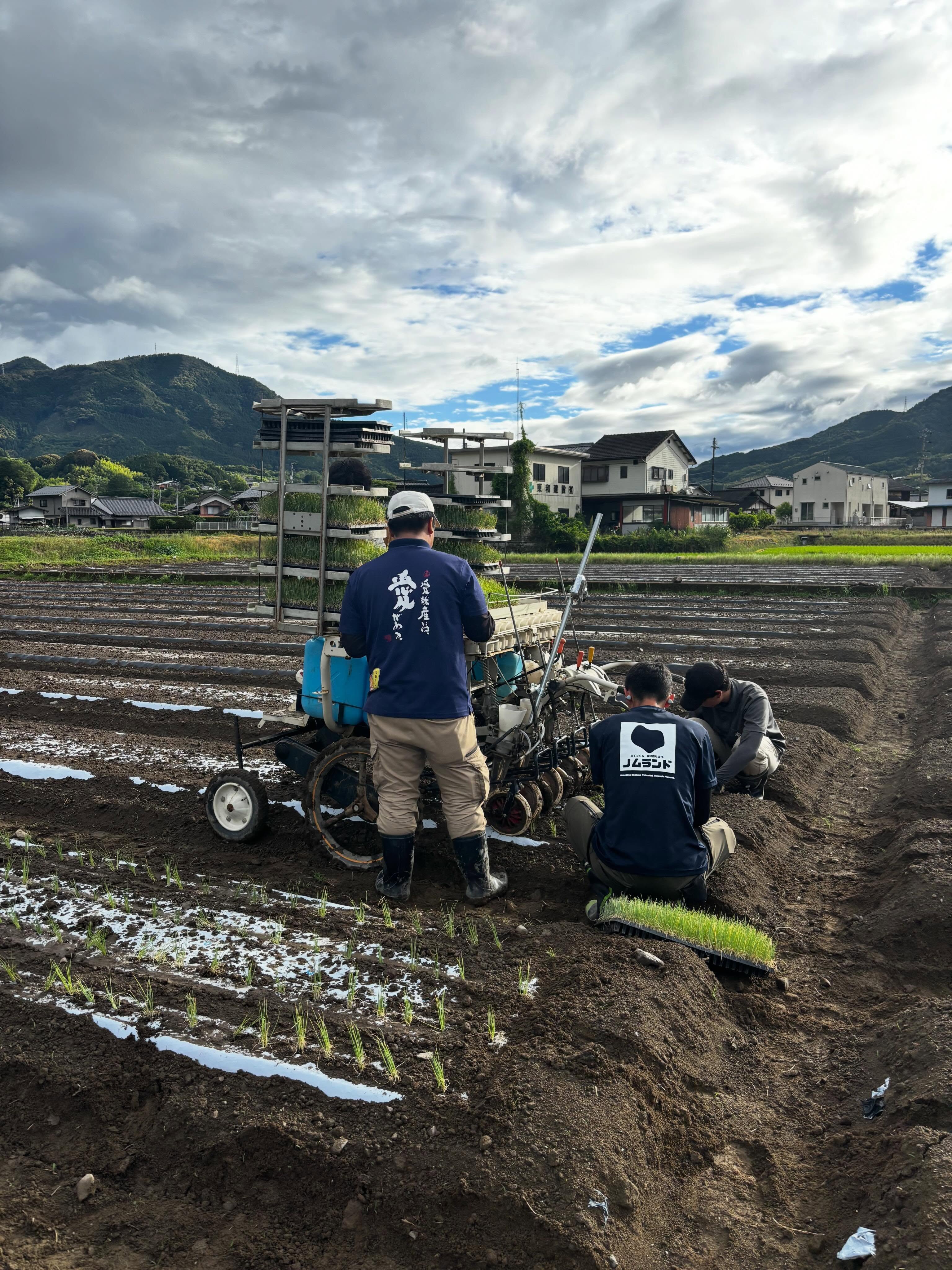 【最近のノムランド🚜🌱】
ここ最近も毎日フル稼働💨
愛農大から来てくれた研修生2名が約7日間ノムランドで研修!
定植や収穫、草刈り、草引き、マルチはがし、ニンニク調整など、いろんな作業を一緒に頑張ってくれました✨
畑ではネギの定植真っ只中!@
収穫も1日200キャリー超えの日も🌱
さらに、機械トラブルやメンテナンスも自分たちで整備🔧
現場で使う機械だからこそ、日々の管理も大切な仕事です。
そして東京へ帰る仲間の送別会🍻
短い期間だったけど、一緒に汗を流した仲間との時間はあっという間でした。
育休中の仲間とかわいい赤ちゃんにも会えてほっこり☺️👶
やることは山積みですが、
たくさんの仲間に支えられながら今日も前進中!
農業は野菜を作るだけじゃない。
人を育て、地域を支え、
仲間とのつながりを感じられる仕事だなと改めて思う毎日です🌱
まだまだ忙しいシーズンは続きますが、安全第一で頑張ります💪✨
#ノムランド
#朝霧ネギ
#愛農大
#農業研修
#ネギ農家