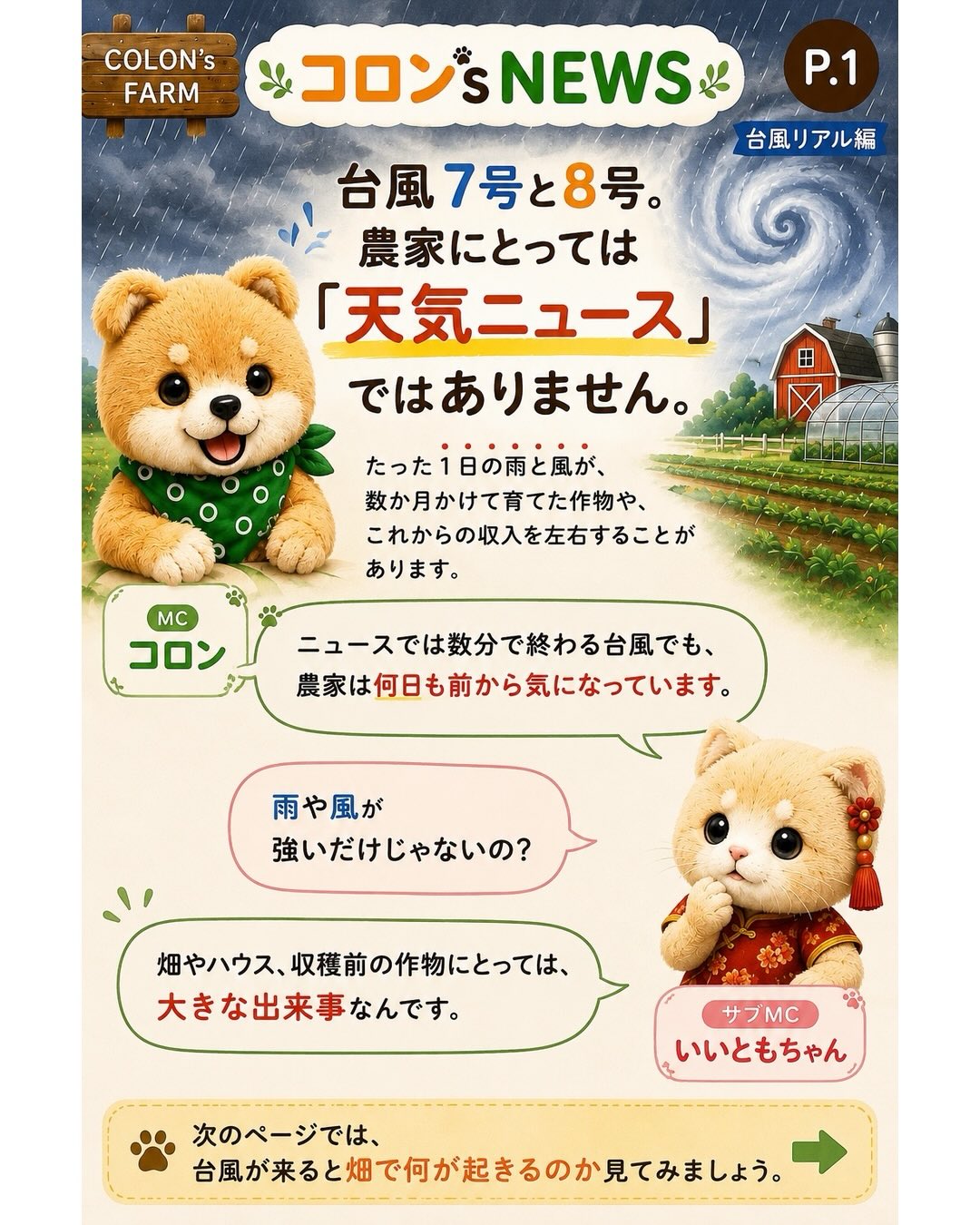 台風7号、8号のニュースが続いています。
でも農家にとって台風は、ただの天気ニュースではありません。
たった1日の雨と風で、何か月も育ててきた作物や、これからの収入が大きく左右されることがあります。
だから農家は何日も前から天気図とにらめっこ。
そして時には、危険だと分かっていても畑のことが気になってしまいます。
ただ、畑もハウスも作り直せます。
作物もまた育てられます。
でも、人の命だけは戻ってきません。
見に行きたくなる気持ちは、農家が一番よく分かっています。
だからこそ、どうか無理をしないでください。
コロン’s NEWS「台風リアル編」
農家の現場から、畑のリアルをお届けします。
急がず、止まらず。
Collon’s Farm
#コロンズファーム
#農家のリアル
#台風対策
#農業の現実
#急がず止まらず