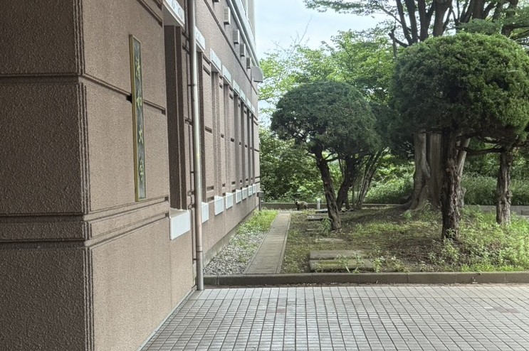 【清和大学】
☆たぬき☆
昨日キャンパス内に狸がいました。
アライグマやハクビシンは市内でもよく見かけますが、狸は珍しいです。
#木更津市 #たぬき #狸 #タヌキ #seiwa #清和 #清和大学 #動物 #証城寺 #たぬきばやし