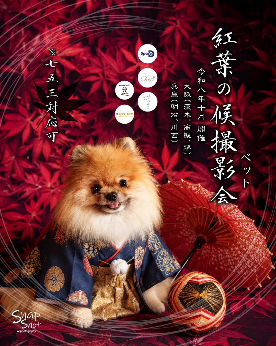 📷✨
2026年10月に各店舗様で開催する「季節のイベント撮影会」のご案内です✨
﹏﹏﹏﹏﹏﹏﹏﹏﹏﹏﹏﹏﹏﹏﹏
🍁紅葉の候撮影会🍁
﹏﹏﹏﹏﹏﹏﹏﹏﹏﹏﹏﹏﹏﹏﹏
真っ赤な紅葉に囲まれて、男子は凛々しく、女子は艶やかに✨
秋の彩りを背景に、和装姿の一枚を。
※七五三記念撮影にも対応しておりますので、ぜひお気軽にお申し出ください㊗
▷▷▷ 関西5店舗で開催 ◁◁◁
開催場所と日程 ┈┈••✼••┈┈••✼
●Space D(大阪府茨木市)
∟2026/10/3/土(10:00~LO16:30)
●Dog Cafe&Salon Cheri(大阪府高槻市)
∟2026/10/4/日(11:30~LO18:00)
●coco cafe(大阪府堺市)
∟2026/10/9/金(11:00~LO15:30)
∟2026/10/10/土(11:00~LO15:30)
●犬の整体 choco mooth(兵庫県明石市)
∟2026/10/18/日(10:30~LO16:30)
●犬のしつけ教室 Cocoro(兵庫県川西市)
∟2026/10/24/土(11:00~LO17:00)
※上記時間内の「00分~」と「30分~」でご予約を受付けております。
※撮影時間は20分程度。
※1枠1家族様のお申込みとなっております。
※完全予約制(入れ替わり制)
※4頭以上のご参加はご相談ください。
※ワンちゃん以外のペットも大歓迎!ご相談ください!
内容 ┈┈••✼••┈┈••✼
●撮影データ:10~15カット
●ポスターアレンジ:1点(データ)
※撮影データのお渡しは、後日LINEアルバムなどのオンラインでのお渡しとなります。(400万画素)
※オリジナルサイズ(2000万画素)の撮影データを収録したDVDのお渡しも承っております(別途550円(税込))
※衣装のご用意はございません。お気に入りの衣装をご持参ください。
※15kg以上のワンちゃんはご相談ください。
※集合写真は、撮影セットの都合上、対応いたしかねる場合がございますのでご了承ください。
料金 ┈┈••✼••┈┈••✼
6,600円
※1家族様1頭の料金となります。
※2頭目から1頭追加につき1,100円
※表示金額は税込です。
開催場所のご紹介 ┈┈••✼••┈┈••✼
●Space D
大阪府茨木市豊川4-16-4(モノレール彩都線豊川駅から5分)
※店舗駐車場あり(5台程度)
@cafed112
●Dog Cafe&Salon Cheri
大阪府高槻市南松原町1-9 1F
阪急京都線高槻市駅から徒歩5分
※近隣にコインパーキングあり
@dogcafe.salon_cheri
●coco cafe
大阪府堺市中区深阪3-10-59
※店舗駐車場あり(5台程度)
※近隣にコインパーキングあり
@cococafe_pochipochi
●犬の整体 choco mooth
兵庫県明石市大久保西島721-8
わらびもち専門店 小町 2F
※店舗駐車場あり(3台程度)
※近隣にコインパーキングあり
@choco_mooth
●犬のしつけ教室 Cocoro
兵庫県川西市清和台東1-3-6
※店舗駐車場あり(6台程度)
@dogcocoro
お申し込み ┈┈••✼••┈┈••✼
●お申し込み
プロフィール欄のURLをクリック!
ホームページの「新着のお知らせ」をご覧ください☝🏻
LINEやDMでも受付けておりますので、気軽にお声掛けください😉✨
※Cheriさまは、店舗にて受付しております。
Cheriさまに直接お問合せください。
@dogcafe.salon_cheri
・
・
#ペット撮影会
#犬撮影会
#関西ペット撮影
#犬のいる暮らし
#とぱ