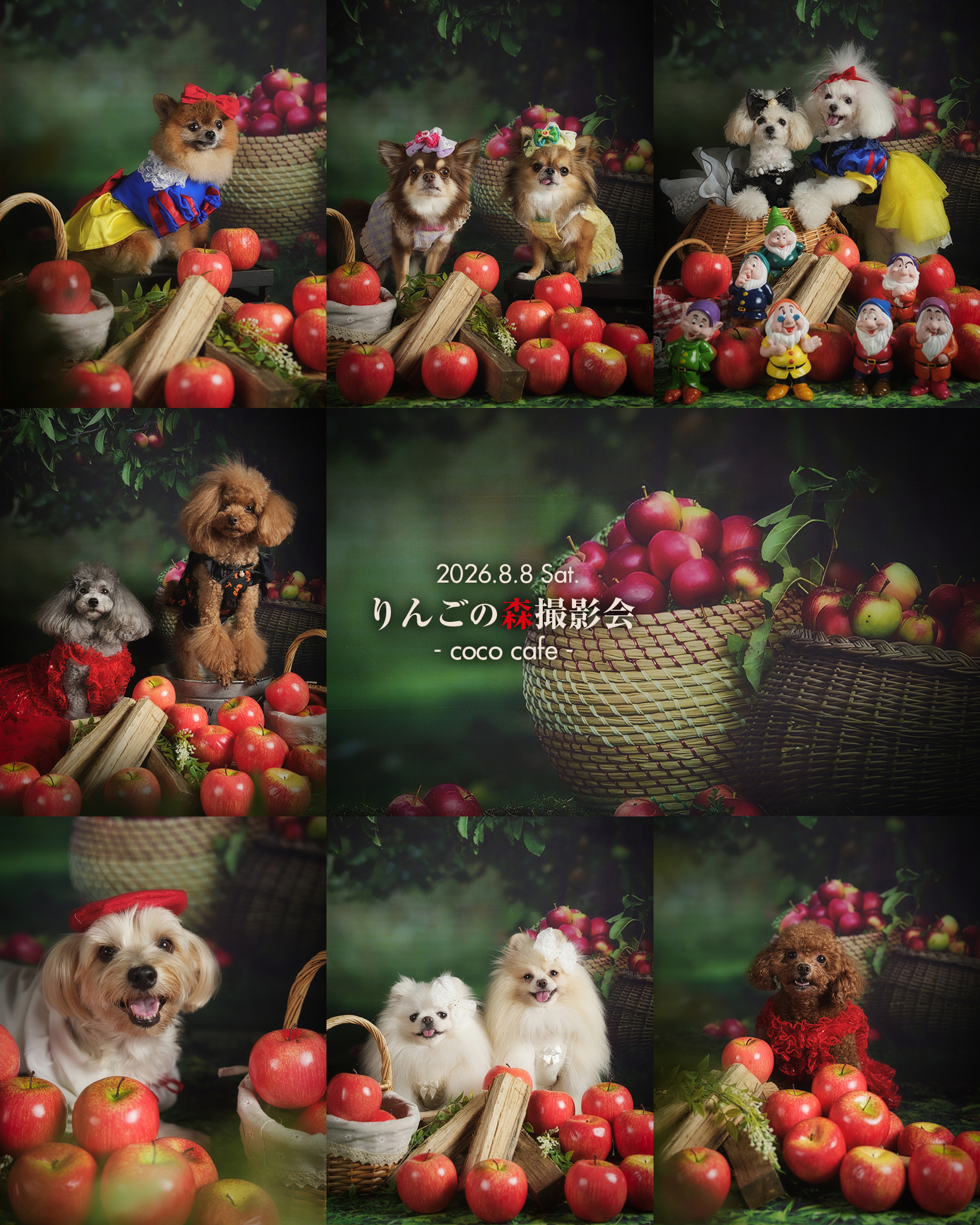 📷✨
2026.8.8 Sat.
🍎りんごの森撮影会
- coco cafe -
@cococafe_pochipochi
大好評をいただきました今回の「りんごの森撮影会🍎」
まるで、深いりんごの森に迷い込んだ一場面を切り取ったようなグリム童話の世界観で、わんちゃんたちが主人公になりきってくれました🐶✨
ご参加、ありがとうございました😀✨
・
・
#ペット撮影会
#犬撮影会
#関西ペット撮影
#犬のいる暮らし
#とぱ