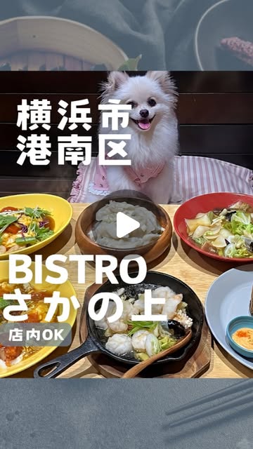 BISTRO さかの上 の Instagram 投稿