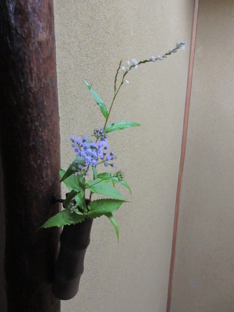*
「秋晴れの日に」
さわやかな秋晴れの日。
皆さま、おかわりございませんか…
庭園では赤い小さなミズヒキソウが盛んに咲いています。
それから椿やマユミの青い実がなり、ドングリがあちこちに転がっています。
飾り棚にはエッグアートの紅茶セット…
床の間には、ギオンマモリとハギ。タデとアオバナフジバカマ。
ゆったりした時間をお過ごしください…
…楽水園より
#楽水園
#rakusuien
#福岡観光
#日本庭園
#JapaneseGarden
#茶室
#都会のオアシス
#博多
#住吉